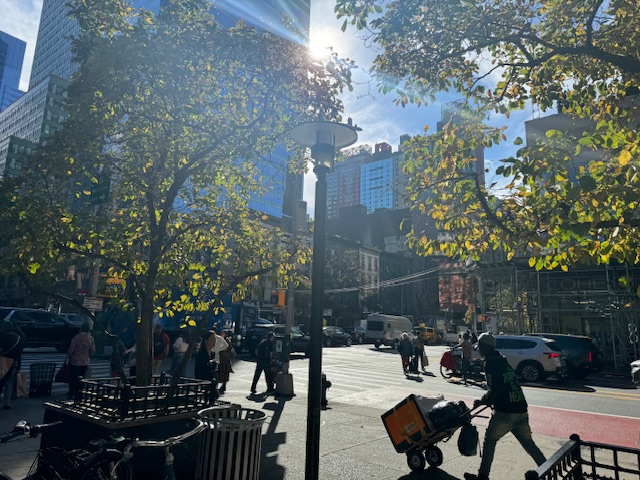 9th Ave package sun