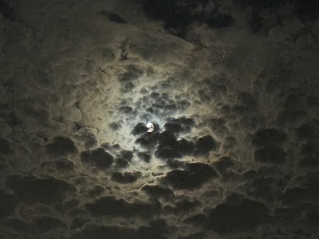 Moonlight