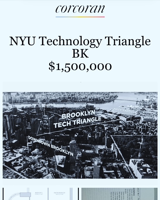 NYU Tech Triangle