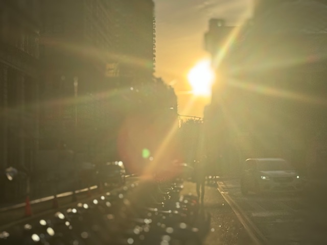 SUN over CITI Bikes (1)