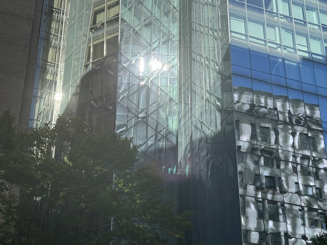 SUn, Tree, Glass