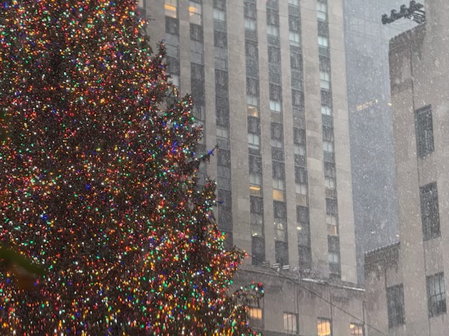 Lights Lit Xmas Tree