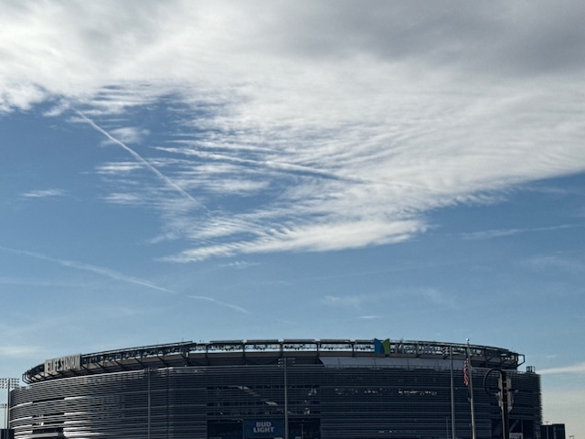 MetLife Clouds