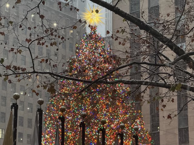 Star THROUGH the Trees XMAS